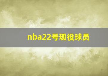 nba22号现役球员