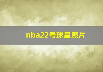 nba22号球星照片