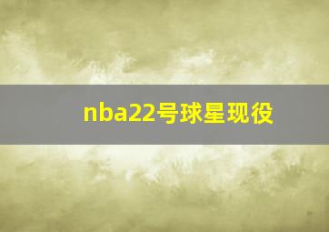 nba22号球星现役