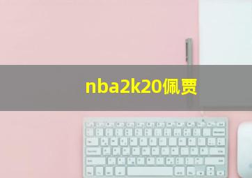 nba2k20佩贾