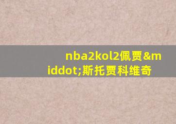 nba2kol2佩贾·斯托贾科维奇