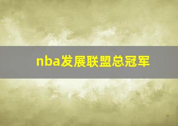 nba发展联盟总冠军