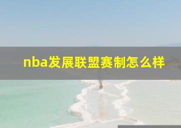 nba发展联盟赛制怎么样