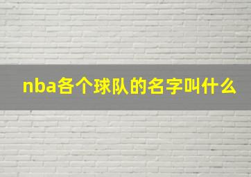 nba各个球队的名字叫什么