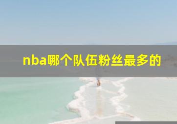 nba哪个队伍粉丝最多的