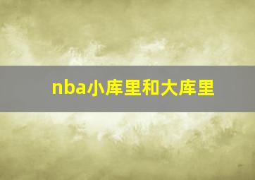 nba小库里和大库里