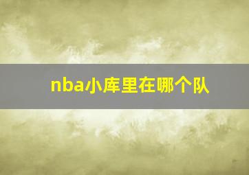 nba小库里在哪个队