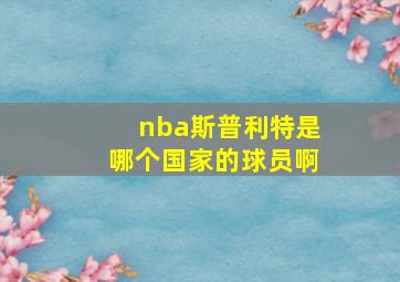 nba斯普利特是哪个国家的球员啊