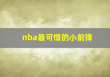 nba最可惜的小前锋