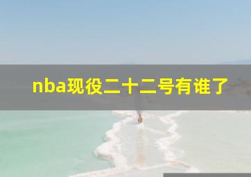 nba现役二十二号有谁了