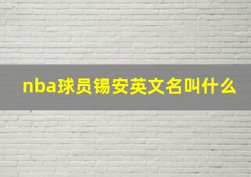 nba球员锡安英文名叫什么