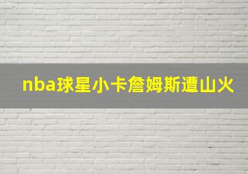 nba球星小卡詹姆斯遭山火