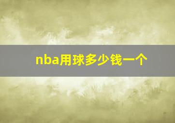 nba用球多少钱一个