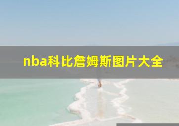 nba科比詹姆斯图片大全