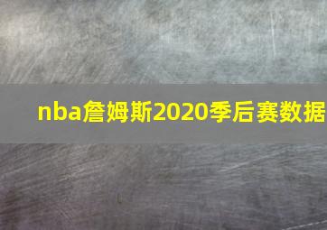 nba詹姆斯2020季后赛数据