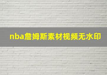 nba詹姆斯素材视频无水印