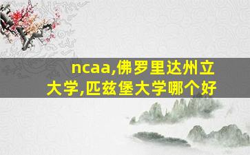 ncaa,佛罗里达州立大学,匹兹堡大学哪个好