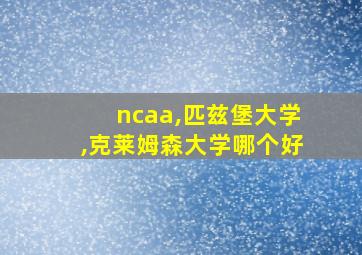 ncaa,匹兹堡大学,克莱姆森大学哪个好