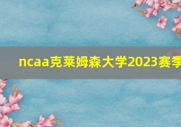 ncaa克莱姆森大学2023赛季