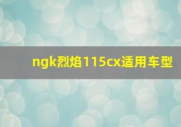 ngk烈焰115cx适用车型