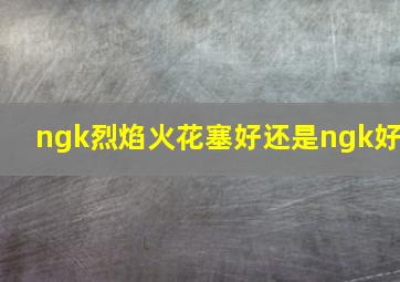 ngk烈焰火花塞好还是ngk好