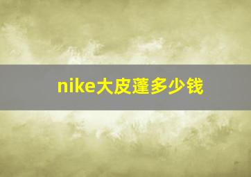 nike大皮蓬多少钱