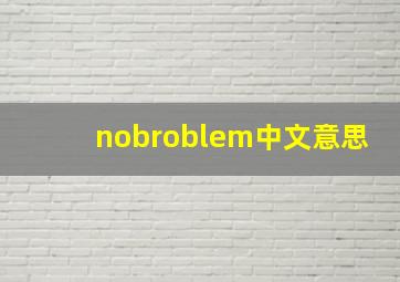 nobroblem中文意思