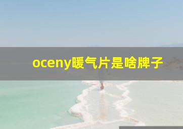 oceny暖气片是啥牌子