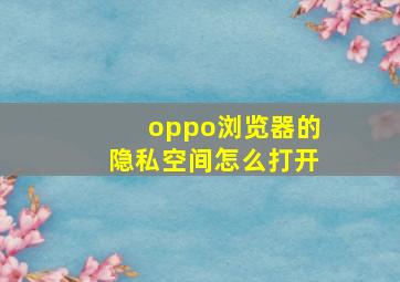 oppo浏览器的隐私空间怎么打开