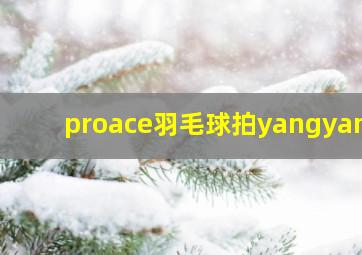 proace羽毛球拍yangyang