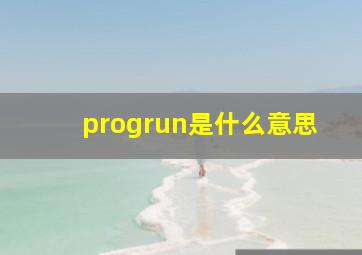 progrun是什么意思