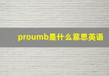 proumb是什么意思英语