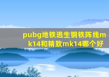 pubg地铁逃生钢铁阵线mk14和精致mk14哪个好