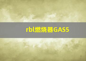 rbl燃烧器GAS5