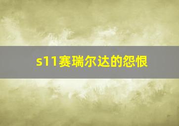 s11赛瑞尔达的怨恨