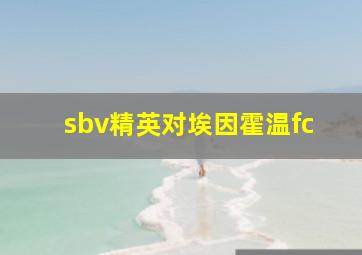 sbv精英对埃因霍温fc