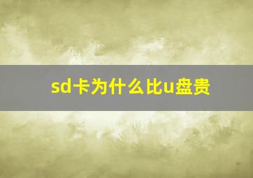 sd卡为什么比u盘贵