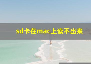 sd卡在mac上读不出来