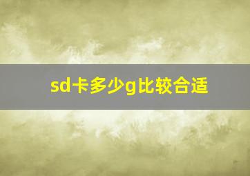 sd卡多少g比较合适