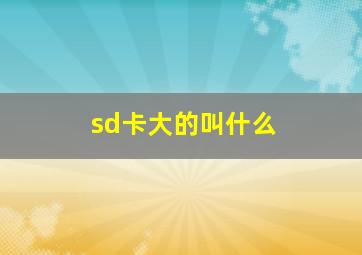 sd卡大的叫什么