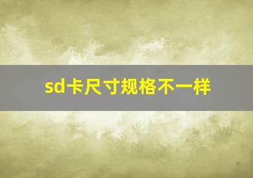 sd卡尺寸规格不一样