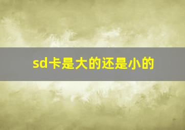 sd卡是大的还是小的