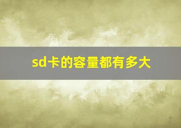 sd卡的容量都有多大