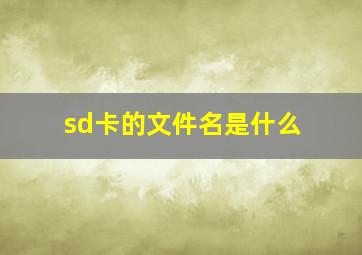 sd卡的文件名是什么