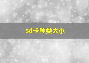 sd卡种类大小