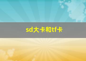 sd大卡和tf卡