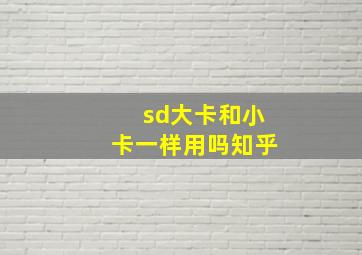 sd大卡和小卡一样用吗知乎