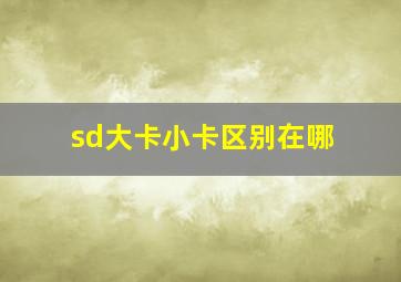 sd大卡小卡区别在哪