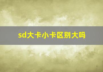 sd大卡小卡区别大吗