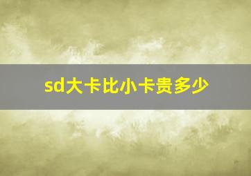 sd大卡比小卡贵多少